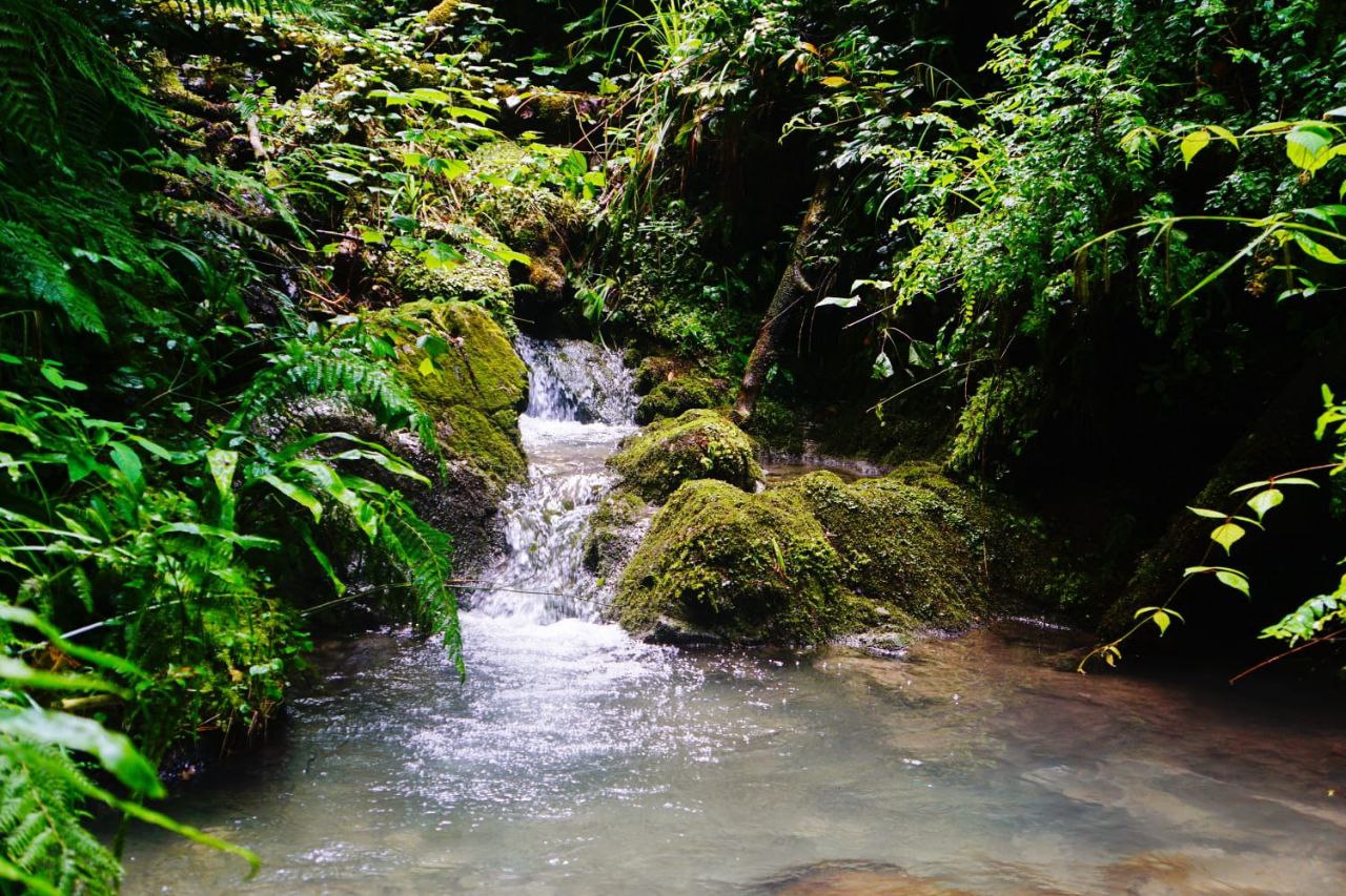 Природа Абхазии - горные реки и чистейшая вода для экотуризма