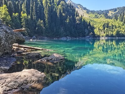 Тур на озеро Рица - Рицинский заповедник